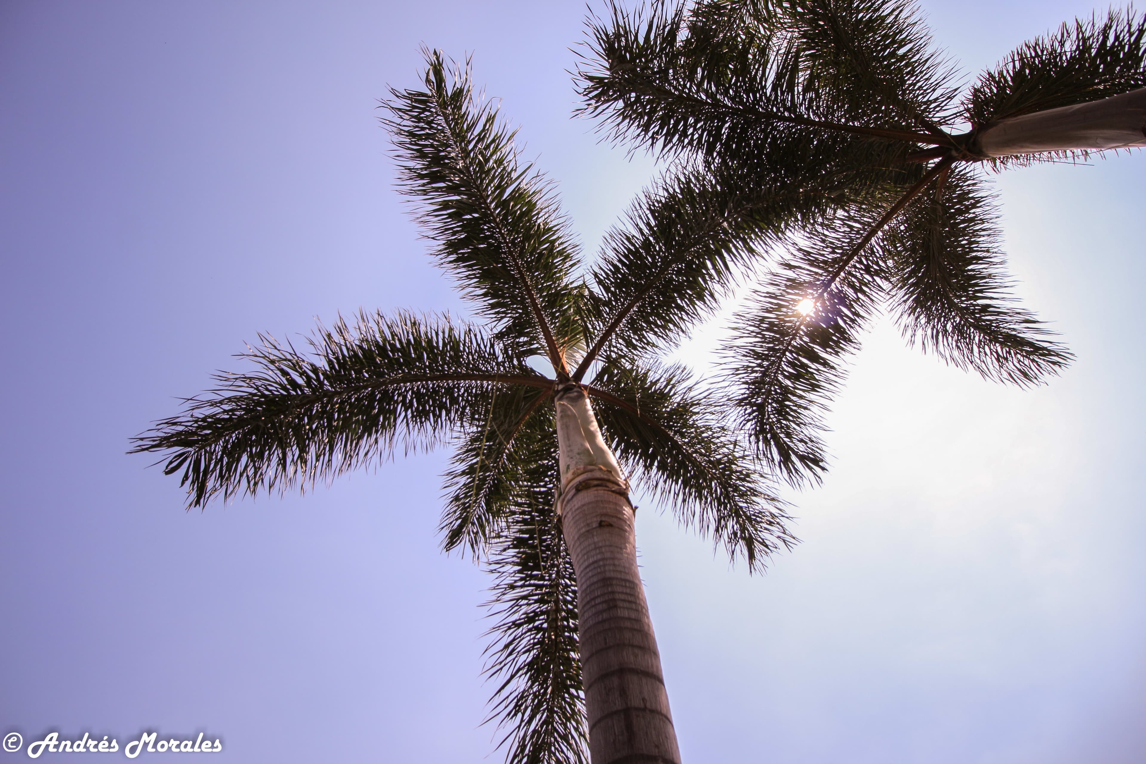 Editorial XIII — Photography by Doomsday MG, 2024